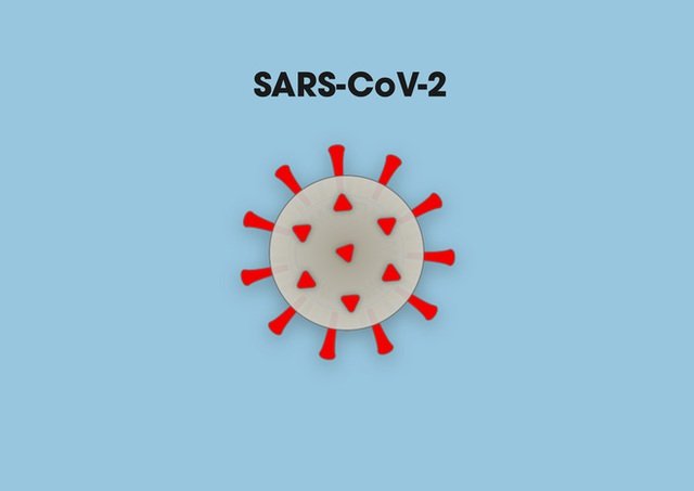 [Infographic] How does Covid-19 infect lung cells?